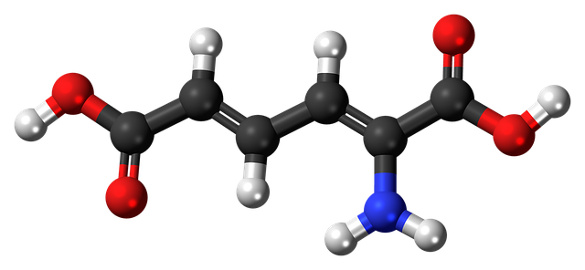 Metabolismus sacharidů: Spouštění vašeho energetického potenciálu